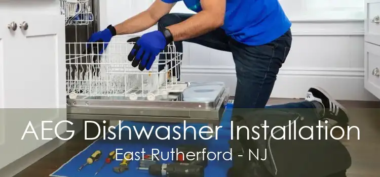 AEG Dishwasher Installation East Rutherford - NJ