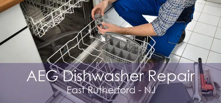 AEG Dishwasher Repair East Rutherford - NJ