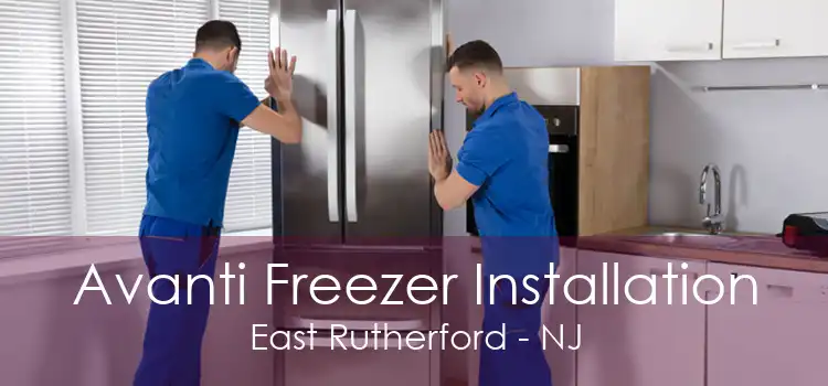 Avanti Freezer Installation East Rutherford - NJ