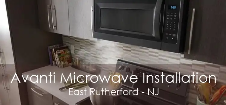 Avanti Microwave Installation East Rutherford - NJ