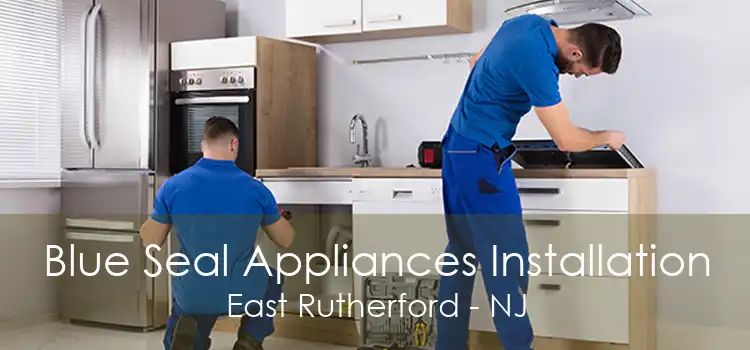 Blue Seal Appliances Installation East Rutherford - NJ