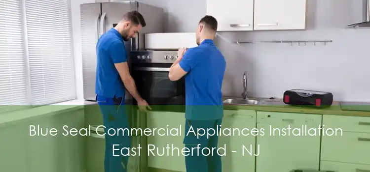 Blue Seal Commercial Appliances Installation East Rutherford - NJ