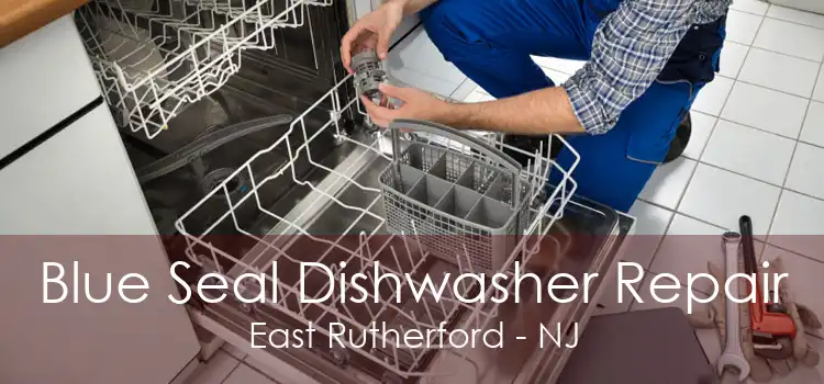 Blue Seal Dishwasher Repair East Rutherford - NJ