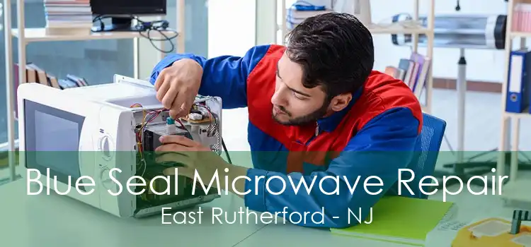 Blue Seal Microwave Repair East Rutherford - NJ