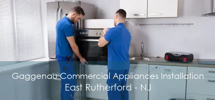 Gaggenau Commercial Appliances Installation East Rutherford - NJ