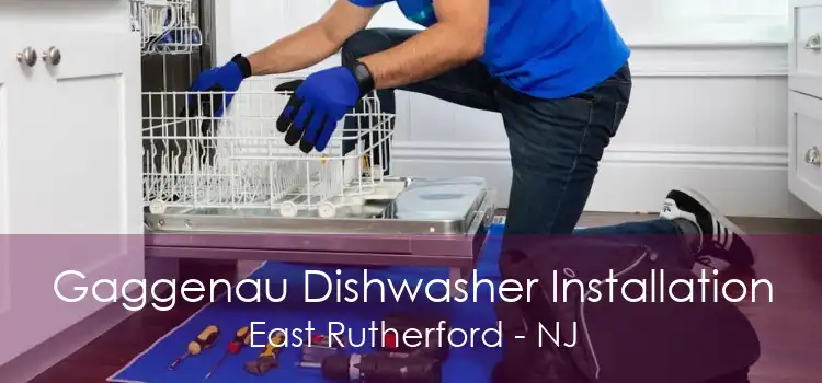 Gaggenau Dishwasher Installation East Rutherford - NJ