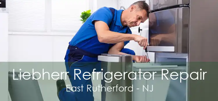 Liebherr Refrigerator Repair East Rutherford - NJ
