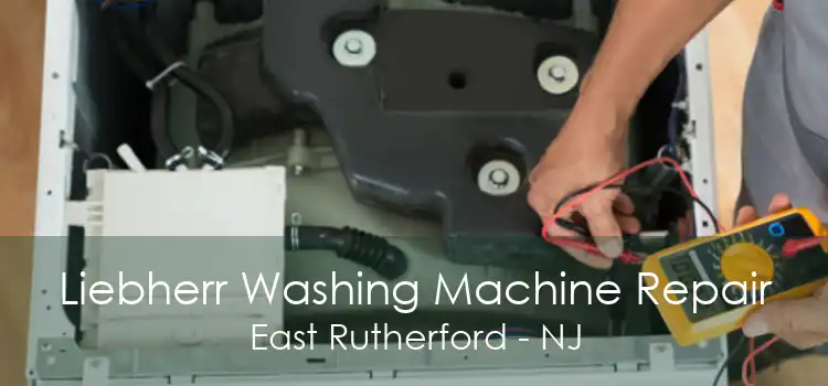 Liebherr Washing Machine Repair East Rutherford - NJ
