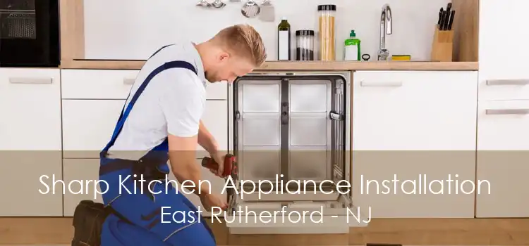 Sharp Kitchen Appliance Installation East Rutherford - NJ
