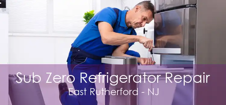 Sub Zero Refrigerator Repair East Rutherford - NJ