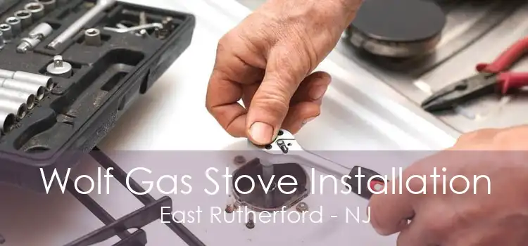 Wolf Gas Stove Installation East Rutherford - NJ